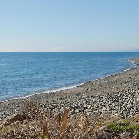 Apartment East Daisy