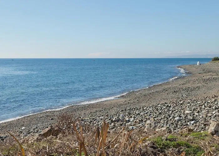 Apartment East Daisy